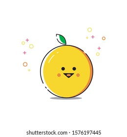 Cute Orange Fruit Vector Design