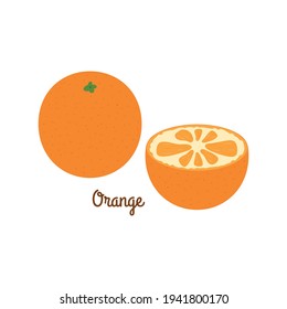 Cute orange isolated on white background. Vector illustration.