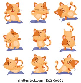 Cute orange kitten does yoga. Vector illustration.