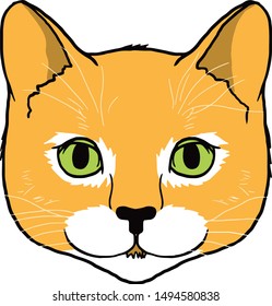An Cute Orange Kitten Head