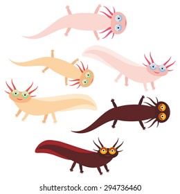 Cute orange pink brown Axolotl Cartoon character (Mexican salamander, Ambystoma mexicanum) aquarium animal on white background. Vector illustration