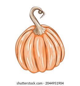 Cute orange pumpkin isolated on white background, stock vector illustration for design and decor, sticker, print