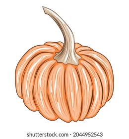 Calabaza naranja corta aislada en fondo blanco, ilustración vectorial de stock para diseño y decoración, pegatina, impresión