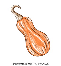 Cute orange pumpkin isolated on white background, stock vector illustration for design and decor, sticker, print