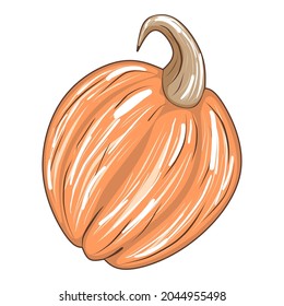 Cute orange pumpkin isolated on white background, stock vector illustration for design and decor, sticker, print