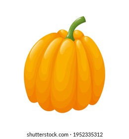 Cute orange pumpkin. Isolated vegetable in the white background. Flat style illustration.