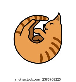 A Cute Orange Red Tabby Cat Sleeping in a Ball Vector