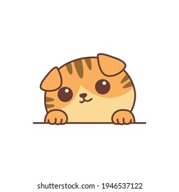 Cute orange scottish fold cat with paws up over wall cartoon, vector illustration