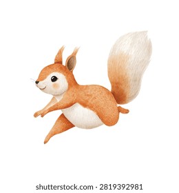A cute orange squirrel with white face