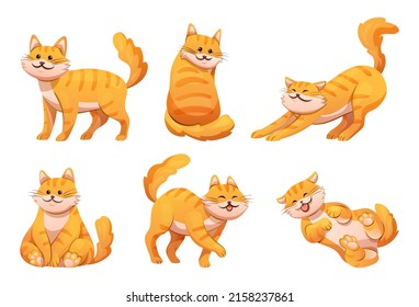 Cute orange striped cat in various poses cartoon illustration