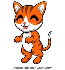 Cute orange tabby cat cartoon