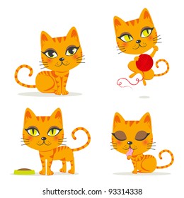 Cute orange tabby cat playing and doing other activities