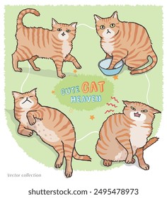 Cute orange tabby vector set. Isolated cartoon cat illustration with funny poses and faces.