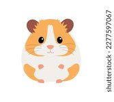 Cute orange and white syrian hamster isolated on white background. Vector flat illustration