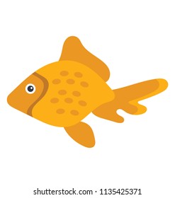 
A cute orange yellow medium size fish typically kept in aquariums small ponds, common goldfish 
