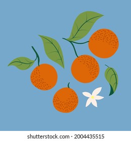Cute oranges with polka dot, leaves and flowers vector set of clip art isolated on sky blue background