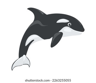 Cute orca jumping vector illustration isolated on white. Killer whale spirit. Cartoon sea animal. 