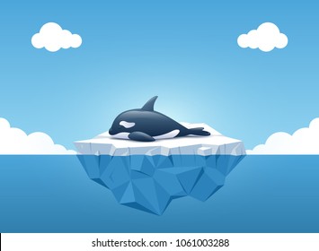 Cute Orca or the killer whale sleeping on the iceberg in the summertime. Iceberg with above and underwater view in the ocean. Summer background concept. Vector illustration