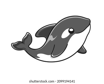 Cute Orca whale vector illustration. Killer whale cartoon clipart.