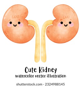 Cute Organ, menschliches Organ, Organ