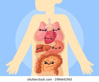 Cute Organs Inside Human Body Vector Illustration. Happy Lung, Heart, Liver, Stomach And Intestines Characters, Internal Organs. Anatomy For Children, Physiology, Biology, Medicine Concept