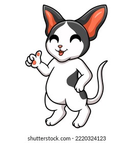 Cute oriental cat cartoon giving thumbs up