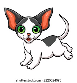 Cute oriental cat cartoon walking