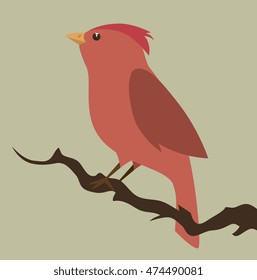 cute ornamental bird icon vector illustration design