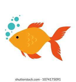 cute ornamental fish with air bubbles