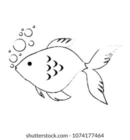cute ornamental fish with air bubbles