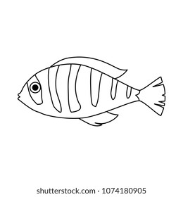 cute ornamental fish icon
