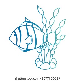 cute ornamental fish with seaweed