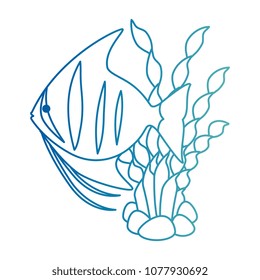 cute ornamental fish with seaweed