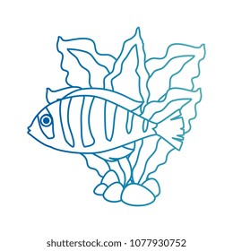 cute ornamental fish with seaweed