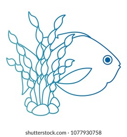 cute ornamental fish with seaweed