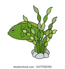 cute ornamental fish with seaweed