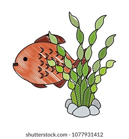 cute ornamental fish with seaweed