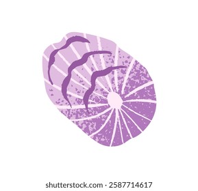 Cute ornamented cockleshell, decoration from ocean. Drawing sea shell of mollusk. Seashell of cockle, clam, shellfish, mussel conch. Beach decor. Flat isolated vector illustration on white background