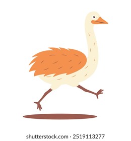 Cute Ostrich Big Bird Wildlife Animal Character is Running Fast