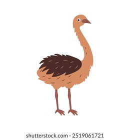 Cute Ostrich Brown African Big Bird Nature Wildlife Animal Character