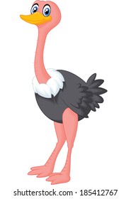 Cute ostrich cartoon