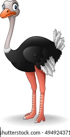 Cute Ostrich Cartoon