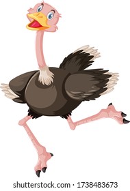 Cute ostrich cartoon character illustration