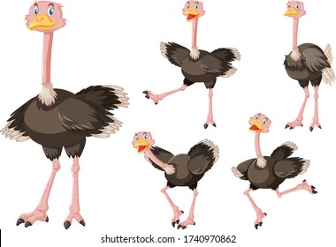 Cute ostrich cartoon character illustration