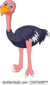 Cute ostrich cartoon isolated on white background