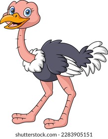 Cute ostrich cartoon isolated on white background