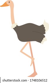 Cute ostrich Cartoon, Vector illustration ostrich on a white background. Drawing for children
