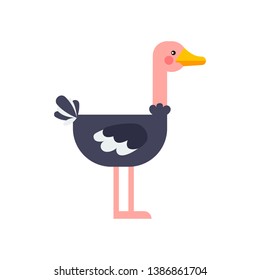 Cute Ostrich in flat style isolated on white background. Vector illustration. Cartoon ostrich. African zoo animal