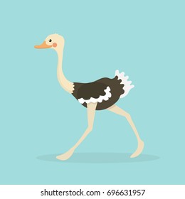 Cute Ostrich in flat style isolated.