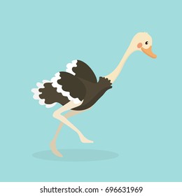 Cute Ostrich in flat style isolated.
